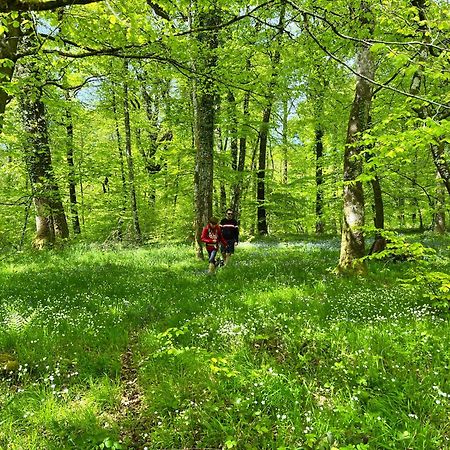 Maison Chaleureuse Avec Jardin - Pause Normande Sées Exterior foto